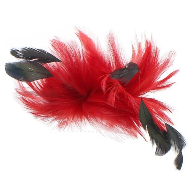 PEINETA PLUMAS