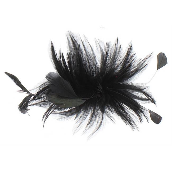 FEATHERS COMB