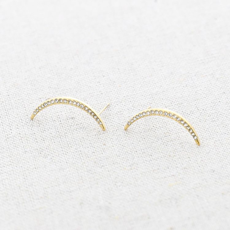 STEEL MOON CRYSTALS EARRINGS