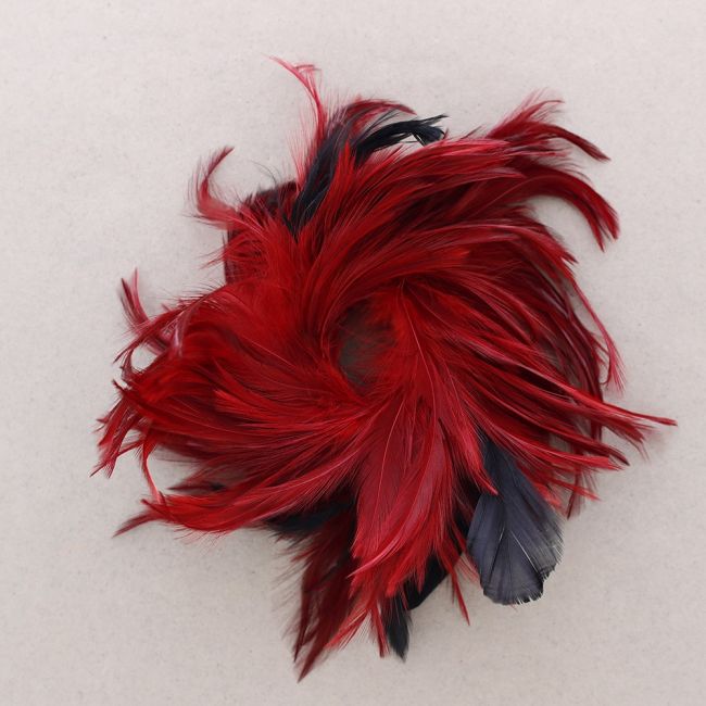 BROCHE PLUMAS DOBLE USO