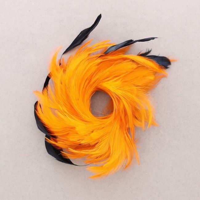 DOUBLE USE FEATHER BROOCH