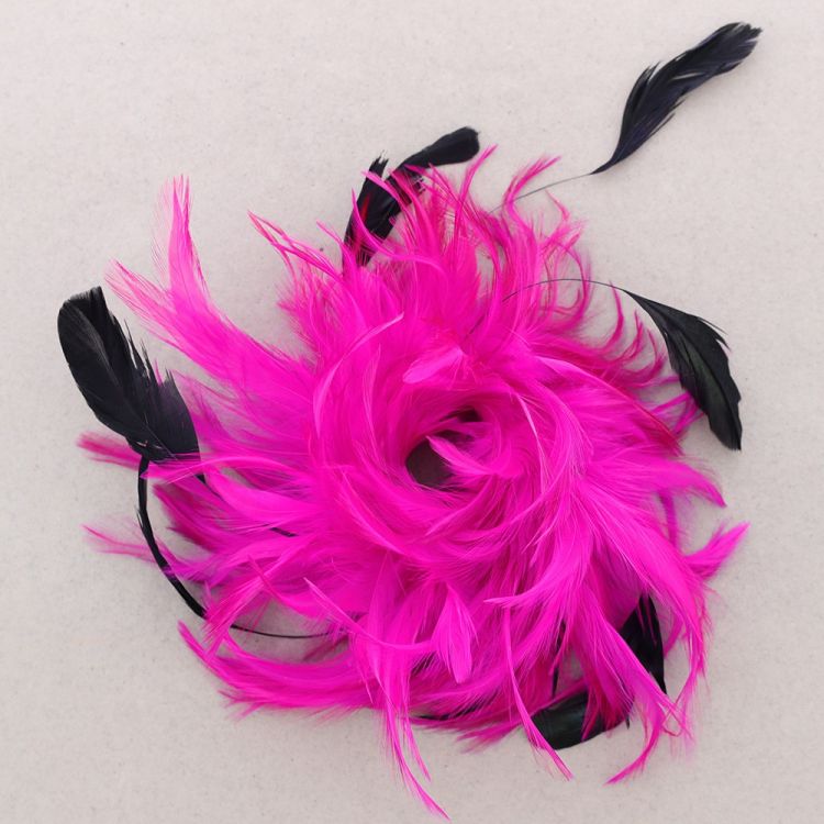 DOUBLE USE FEATHER BROOCH 2