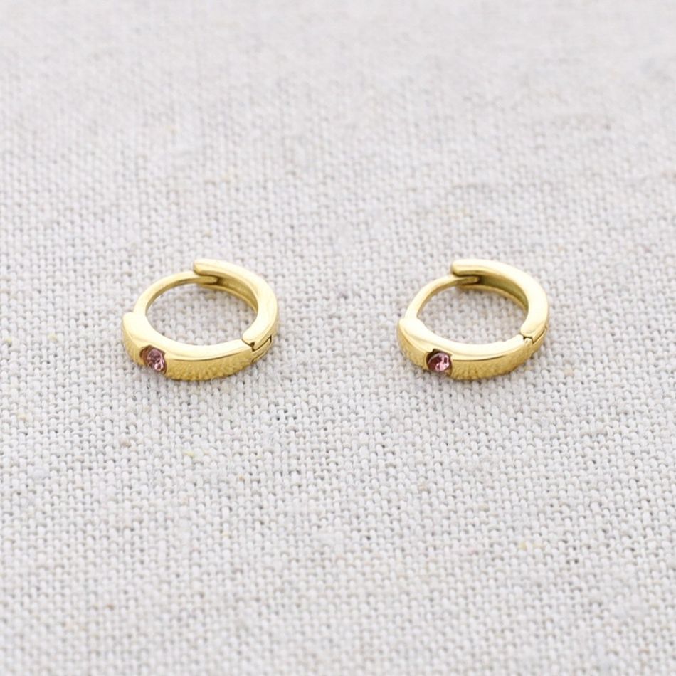 STEEL HOOP CRYSTAL EARRINGS