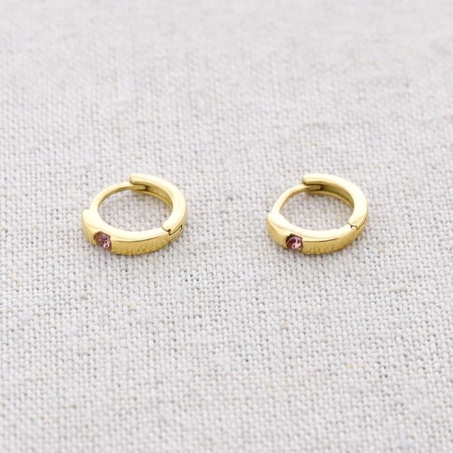 STEEL HOOP CRYSTAL EARRINGS
