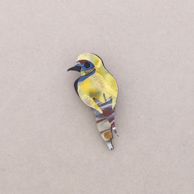BROCHE AVE TROPICAL RESINA