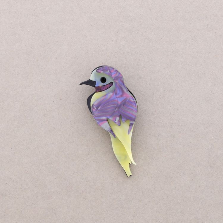 BROCHE AVE TROPICAL RESINA