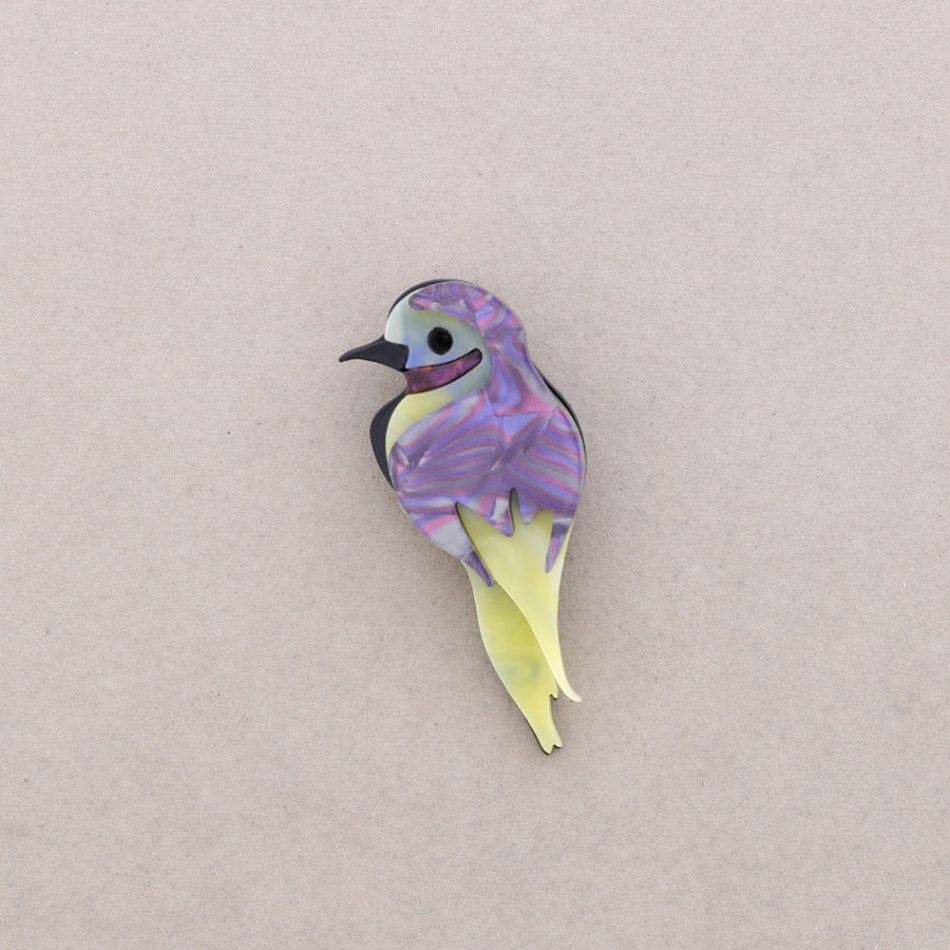 BROCHE AVE TROPICAL RESINA
