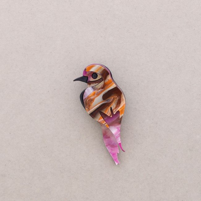 BROCHE AVE TROPICAL RESINA