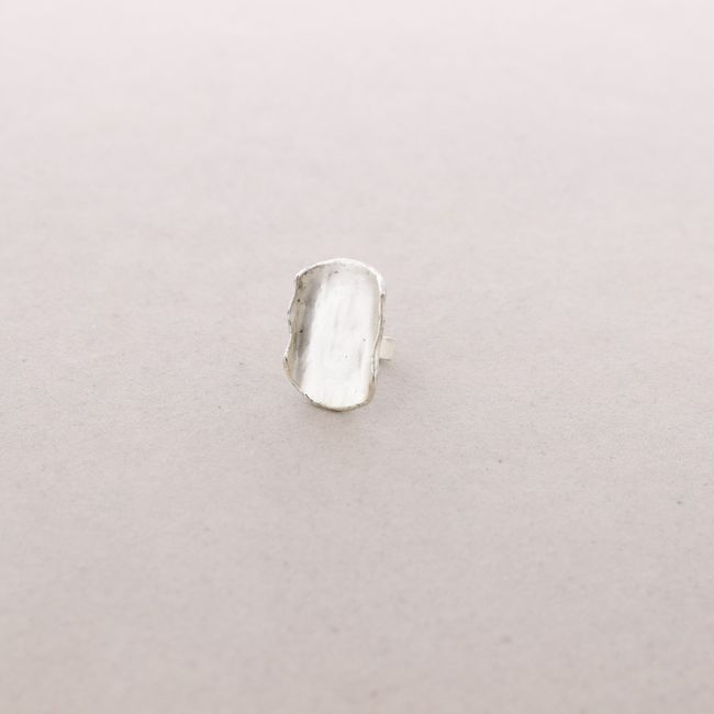 ANILLO METAL FORMAS