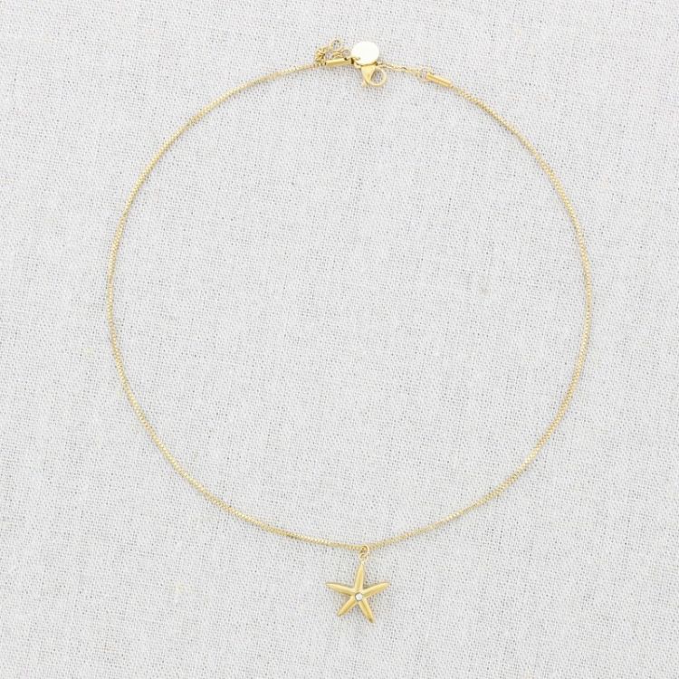 GARGANTILLA ACERO COLGANTE ESTRELLA DE MAR CRISTAL 2
