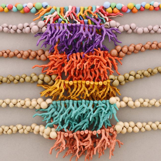 RESIN CORAL BALLS NECKLACE