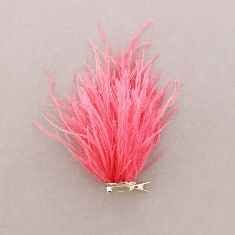 BROCHE PLUMAS