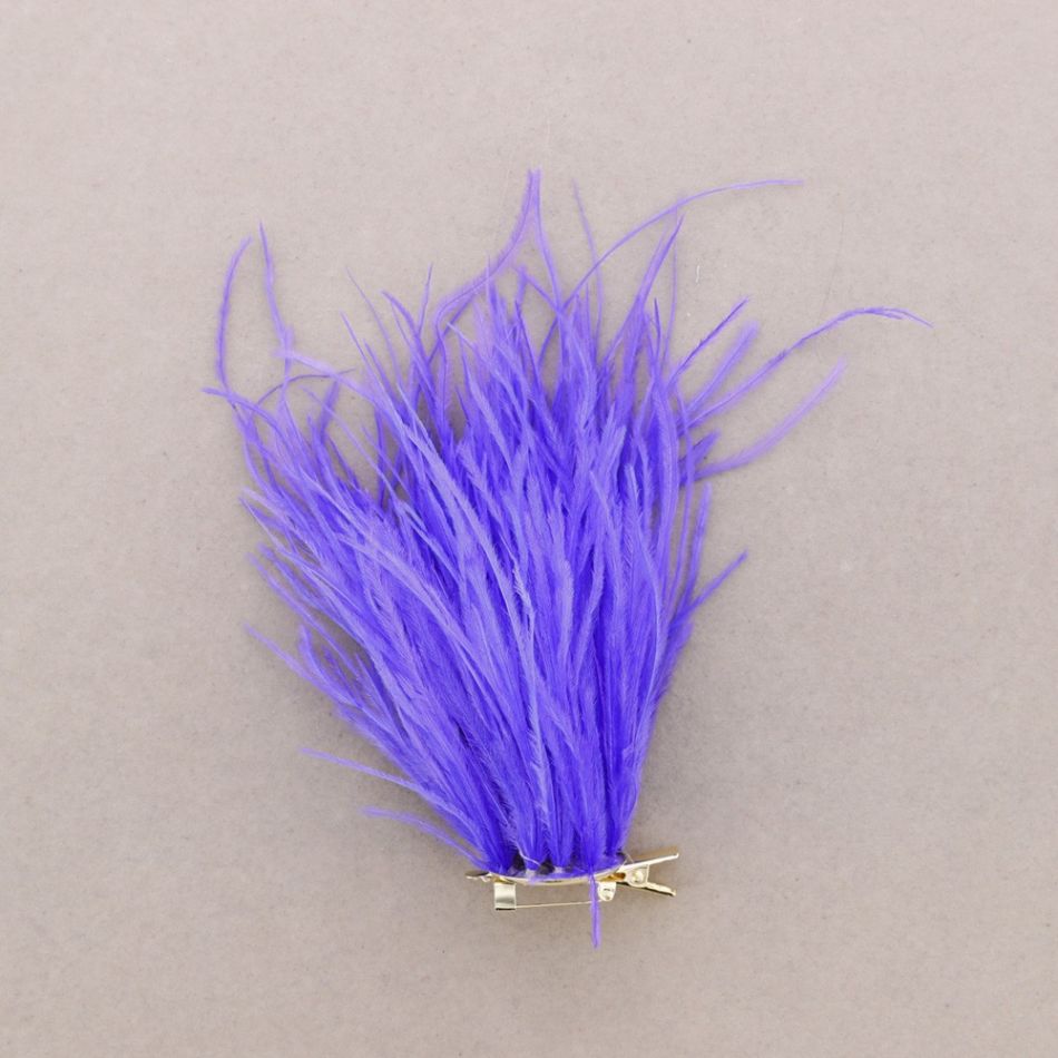 BROCHE PLUMAS