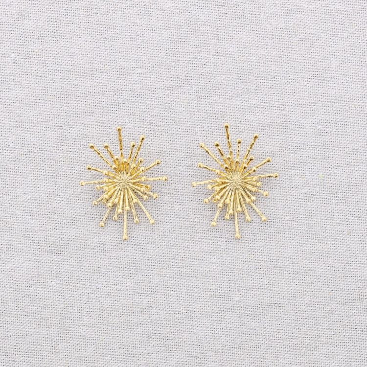 STARRY STEEL EARRINGS 2