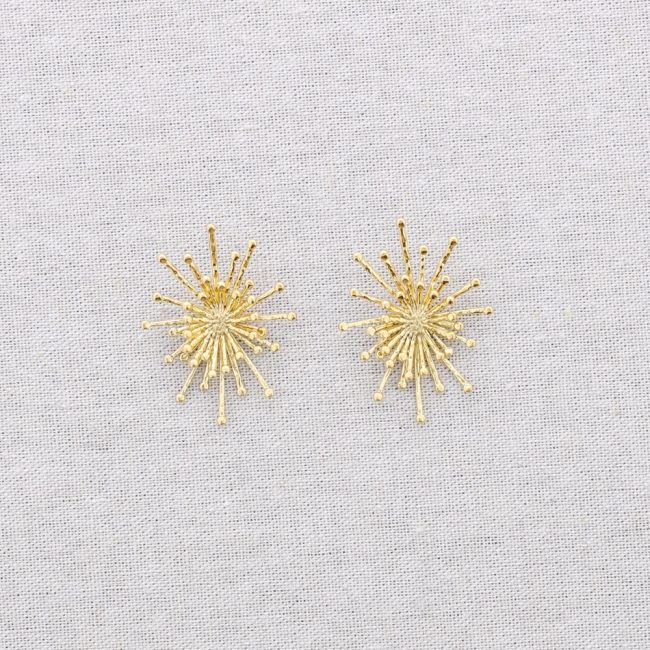 STARRY STEEL EARRINGS