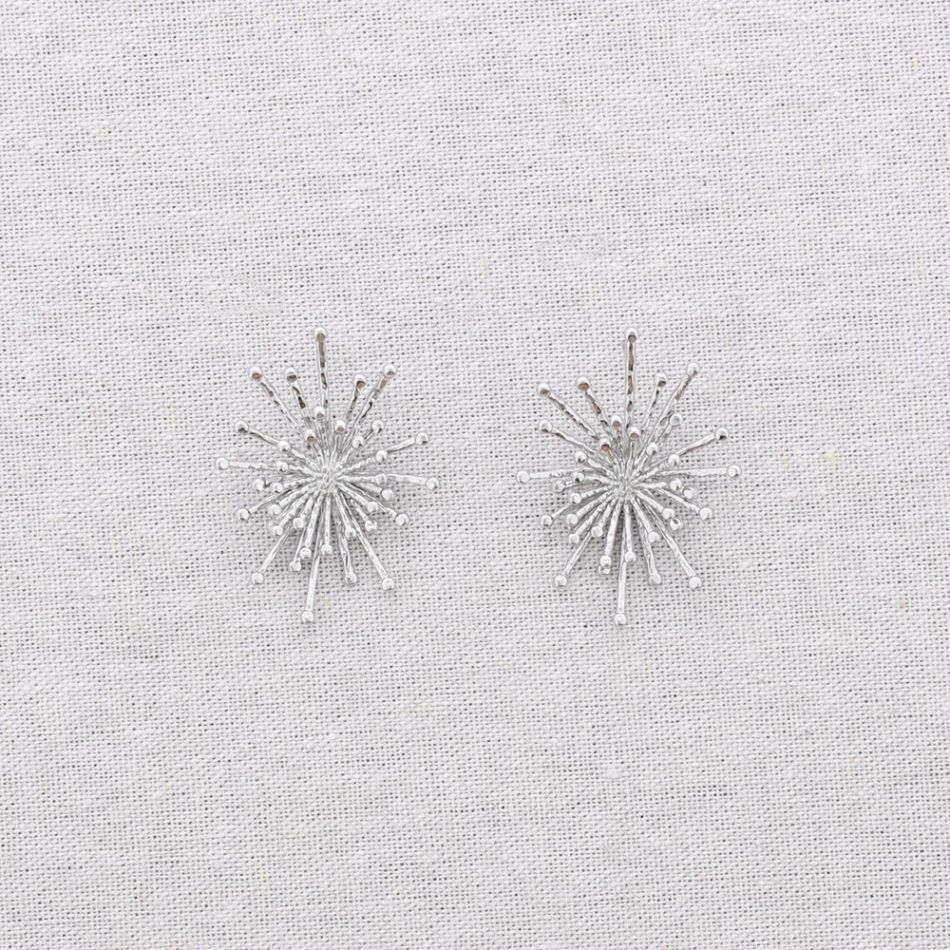 STARRY STEEL EARRINGS