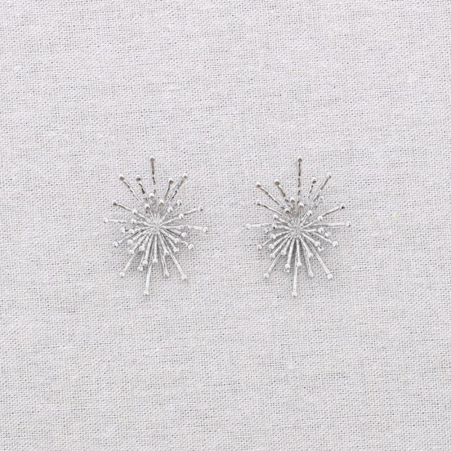 STARRY STEEL EARRINGS
