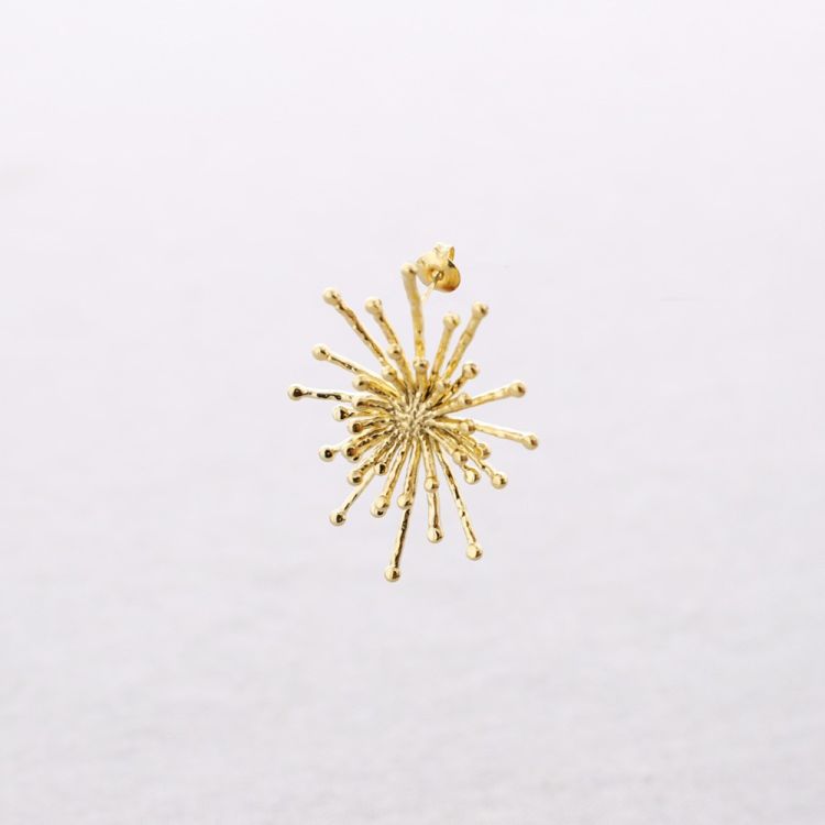 STARRY STEEL EARRINGS