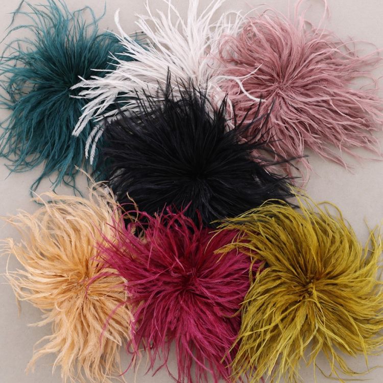 BROCHE PLUMAS AVESTRUZ 8-10 CM 2