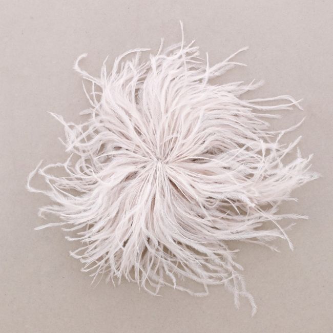 BROCHE PLUMAS AVESTRUZ 10-15CM