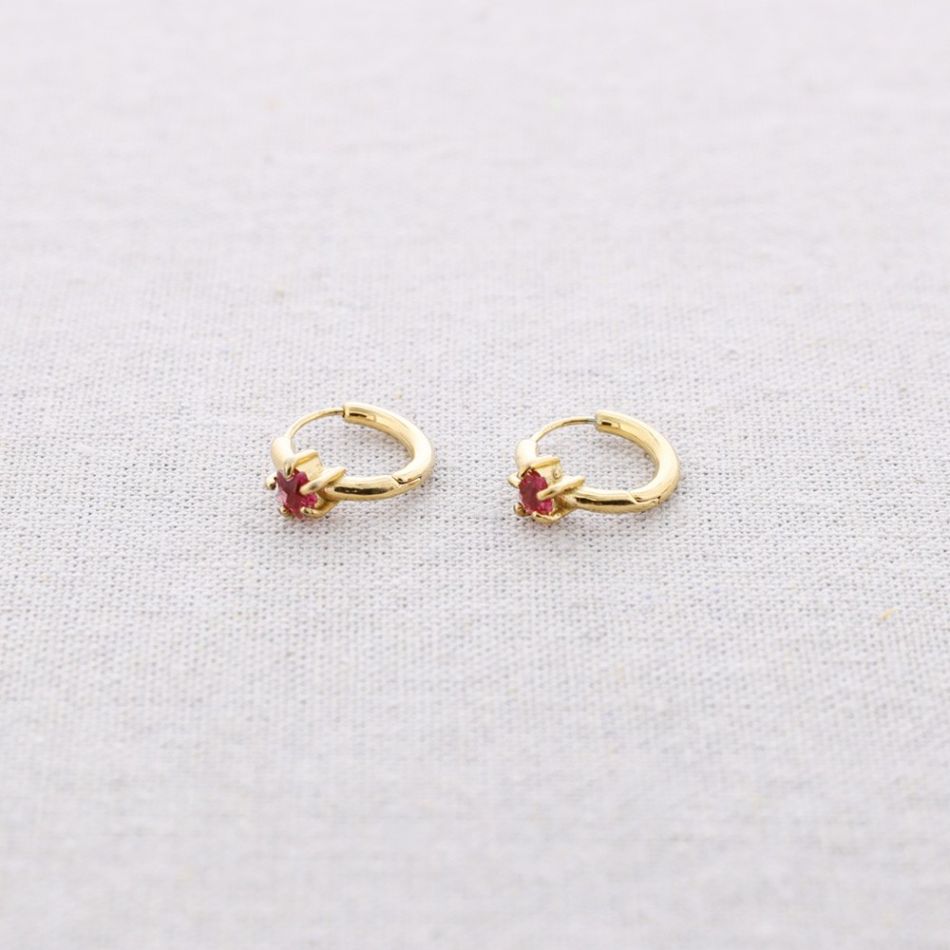 STEEL HOOP EARRINGS WITH CRYSTAL STAR