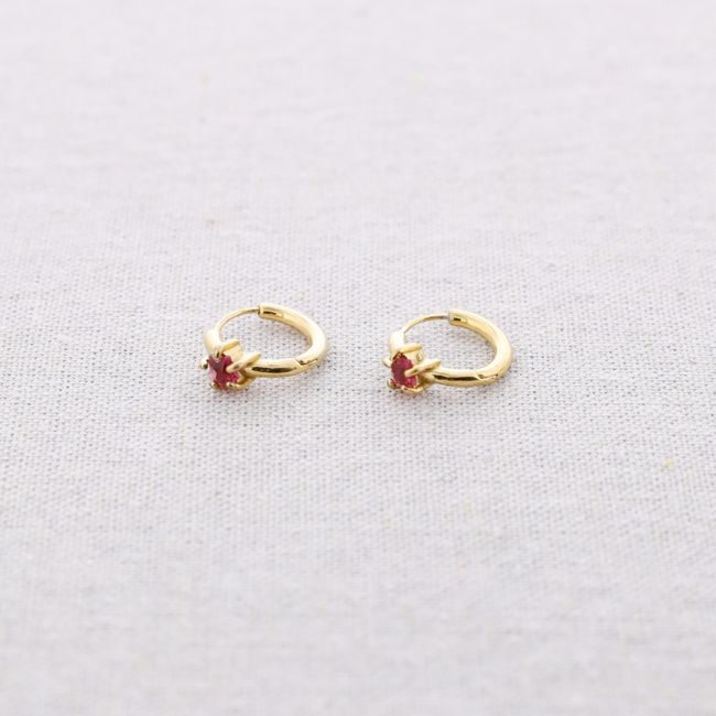 STEEL HOOP EARRINGS WITH CRYSTAL STAR