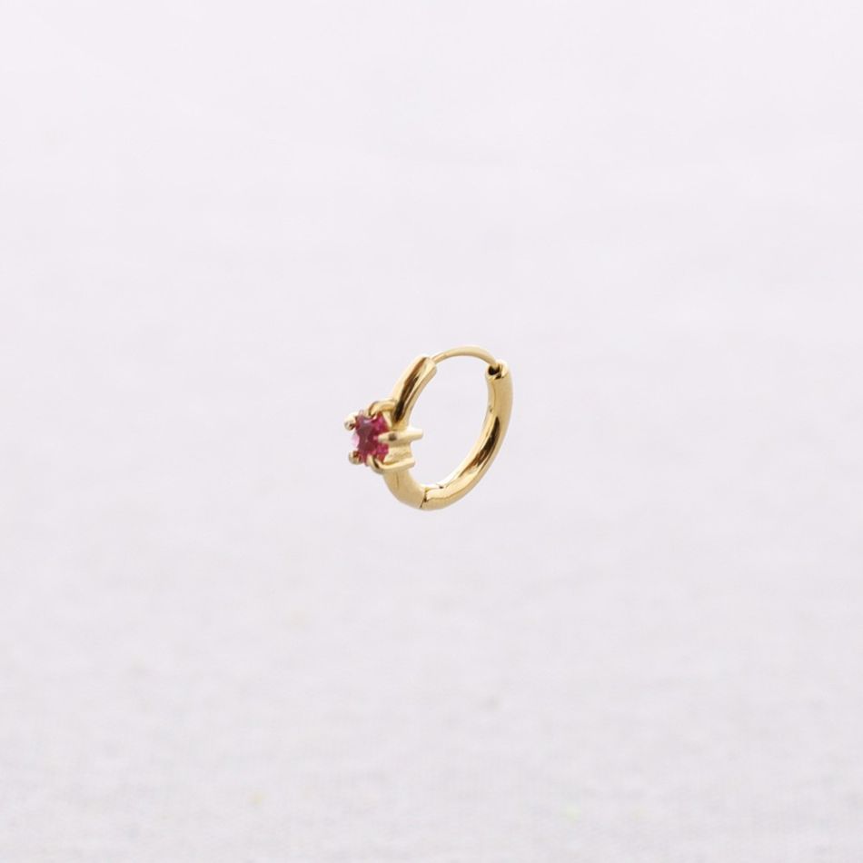 STEEL HOOP EARRINGS WITH CRYSTAL STAR