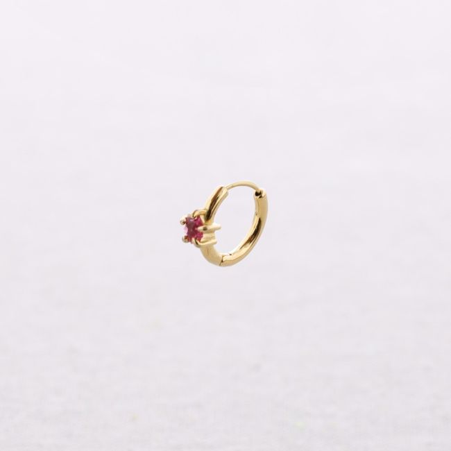 STEEL HOOP EARRINGS WITH CRYSTAL STAR