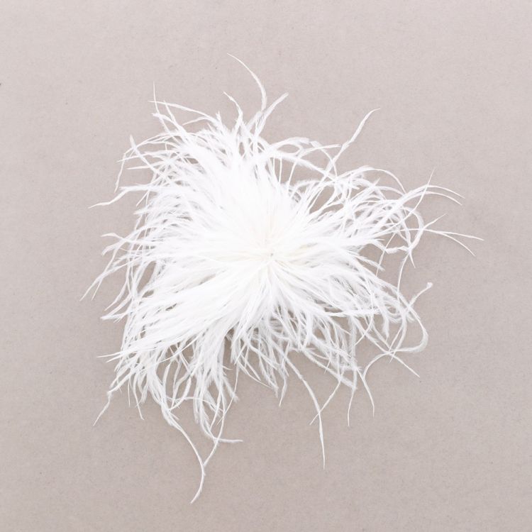 BROCHE PLUMAS AVESTRUZ 10-15CM