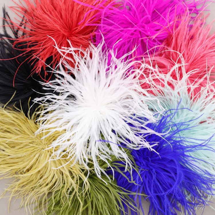BROCHE PLUMAS AVESTRUZ 10-15CM 2